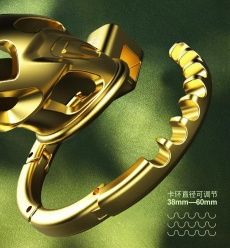 Sevanda - Outlaw with urethral tube chastity lock - Golden